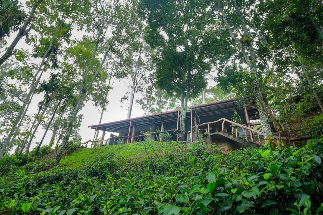 The Spice Lodge Ella Exteriör bild